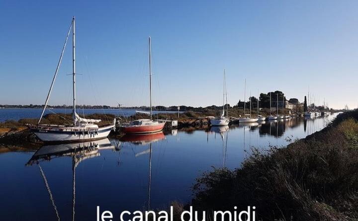 Le Corinthe - Appt Classe 3 Etoiles Et Climatise Marseillan  Dış mekan fotoğraf