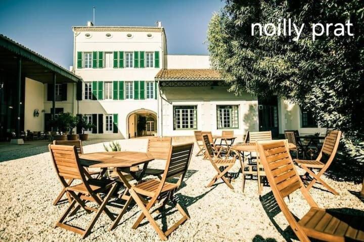 Le Corinthe - Appt Classe 3 Etoiles Et Climatise Marseillan  Dış mekan fotoğraf